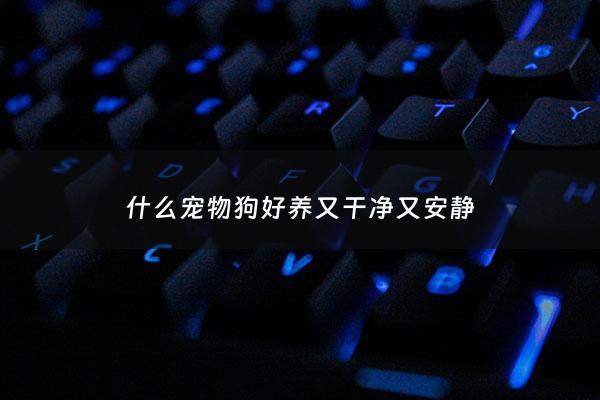 什么宠物狗好养又干净又安静 - 什么宠物狗好养又干净又温顺