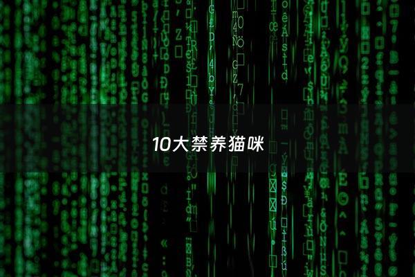 10大禁养猫咪 - 禁养猫品种