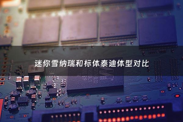 迷你雪纳瑞和标体泰迪体型对比 - 迷你雪纳瑞犬和标准雪纳瑞