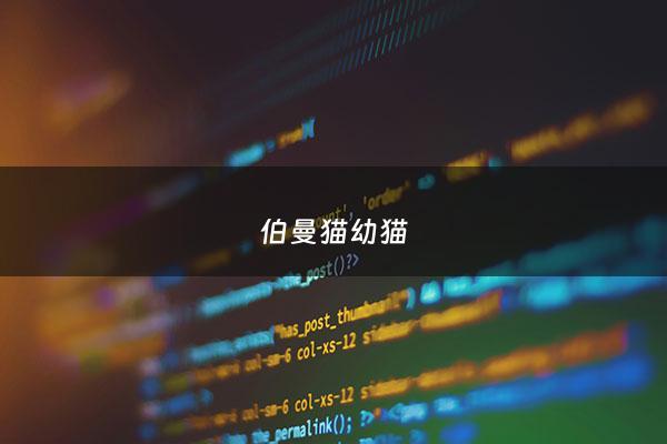 伯曼猫幼猫 - 伯曼猫猫舍