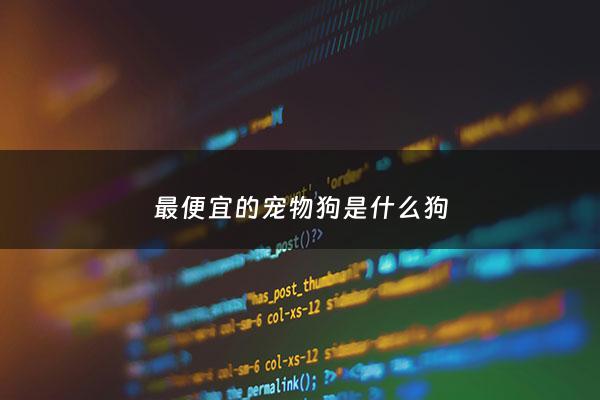 最便宜的宠物狗是什么狗 - 最便宜的宠物是什么?