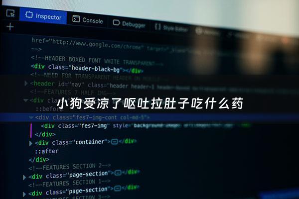 小狗受凉了呕吐拉肚子吃什么药 - 狗着凉又吐又拉吃什么药