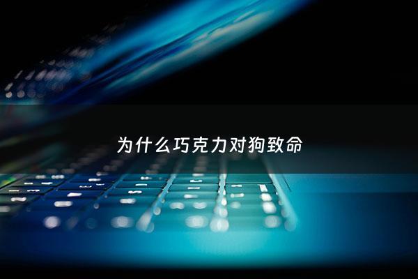 为什么巧克力对狗致命 - 为什么巧克力对狗来说有毒