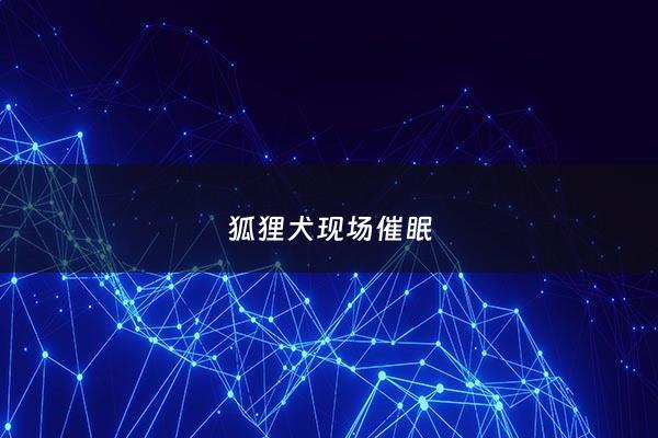 狐狸犬现场催眠 - 狐狸犬!