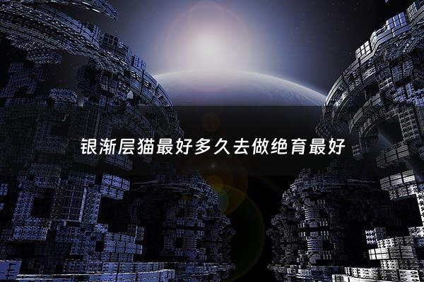 银渐层猫最好多久去做绝育最好 - 银渐层什么时候绝育