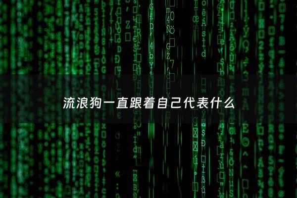 流浪狗一直跟着自己代表什么 - 流浪狗***是吉还是凶