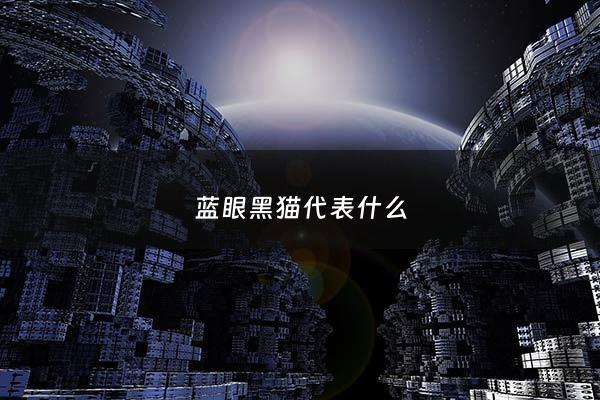 蓝眼黑猫代表什么 - 蓝眼的黑猫