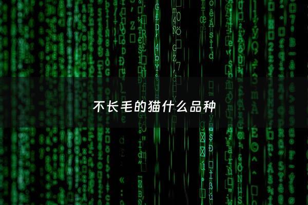 不长毛的猫什么品种 - 不长毛的猫什么品种好