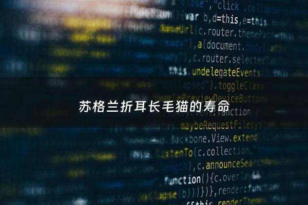 苏格兰折耳长毛猫的寿命 - 苏格兰折耳猫寿命短吗