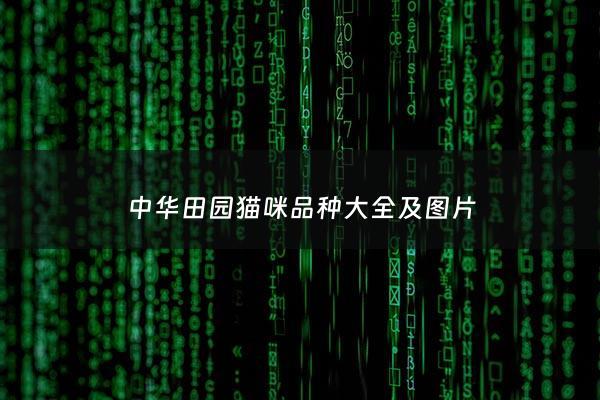 中华田园猫咪品种大全及图片 - 中华田园猫咪品种大全及图片欣赏