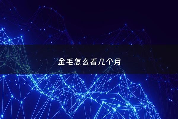 金毛怎么看几个月 - 如何判断金毛几个月