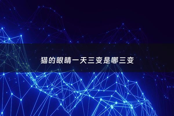 猫的眼睛一天三变是哪三变 - 猫的眼睛一天三变是什么颜色
