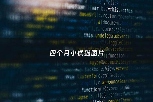 四个月小橘猫图片 - 四个月橘猫多大