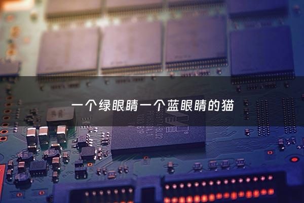 一个绿眼睛一个蓝眼睛的猫 - 一个绿眼睛一个蓝眼睛的猫叫什么