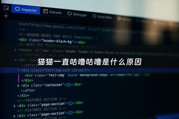 猫猫一直咕噜咕噜是什么原因 - 猫猫一直咕噜咕噜的什么意思