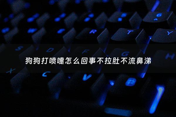 狗狗打喷嚏怎么回事不拉肚不流鼻涕 - 狗狗打喷嚏一直不好