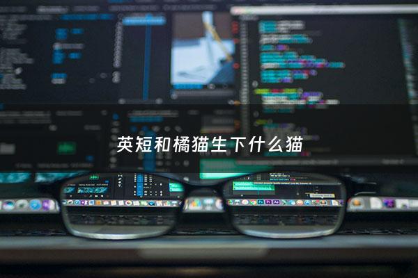 英短和橘猫生下什么猫 - 英短和橘猫的串串怎么样