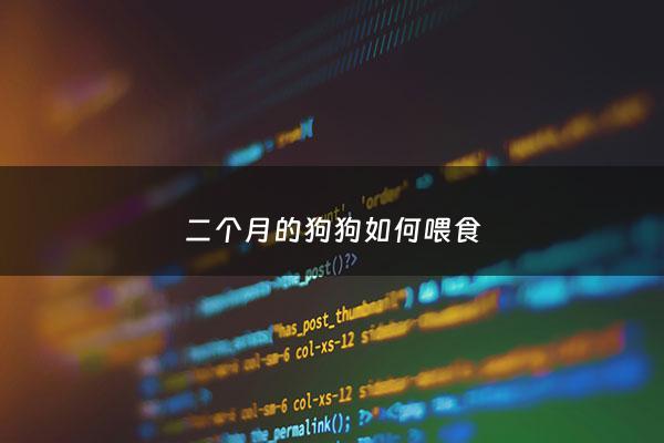 二个月的狗狗如何喂食 - 二个月小狗怎么喂