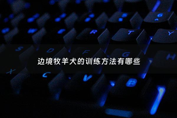 边境牧羊犬的训练***有哪些 - 边境牧羊犬的训练***有哪些呢