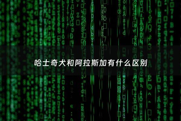 哈士奇犬和阿拉斯加有什么区别 - 哈士奇与阿拉斯加的区别