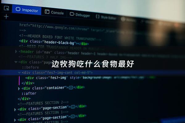 边牧狗吃什么食物最好 - 边牧吃啥增加营养