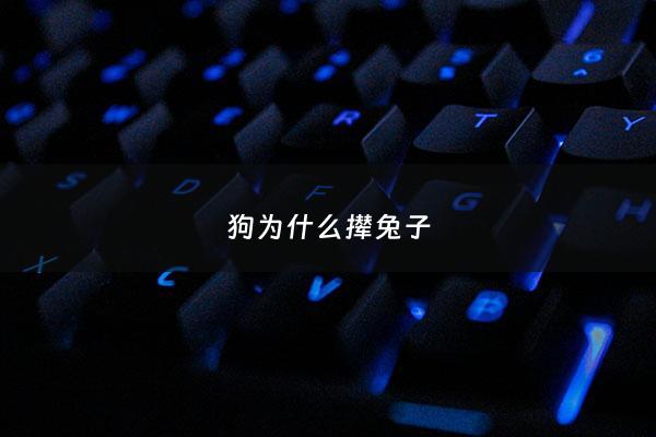 狗为什么撵兔子 - 狗为什么撵兔子不咬人