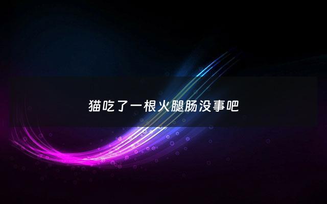 猫吃了一根火腿肠没事吧 - 遇见流浪猫可以喂什么