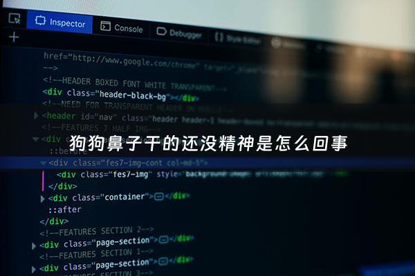 狗狗鼻子干的还没精神是怎么回事 - 狗狗鼻子干的还没精神是怎么回事啊