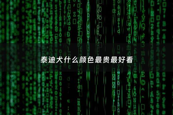 泰迪犬什么颜色最贵最好看 - 泰迪犬什么颜色最贵最好看的