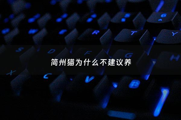 简州猫为什么不建议养 - 简州猫是宠物猫吗