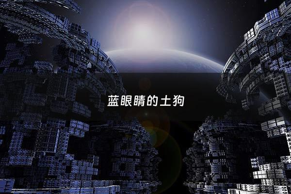 蓝眼睛的土狗 - 蓝眼睛土狗养有什么讲究吗