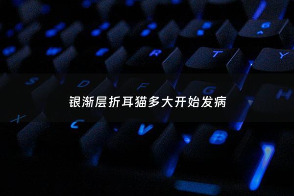 银渐层折耳猫多大开始发病 - 银渐层折耳容易生病吗