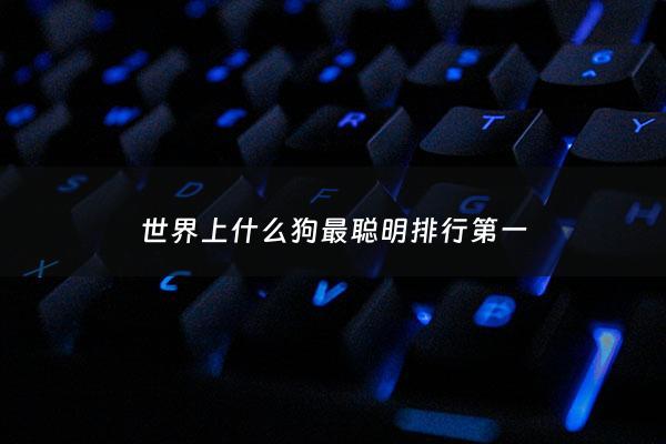 世界上什么狗最聪明排行第一 - 世界上哪种狗最聪明