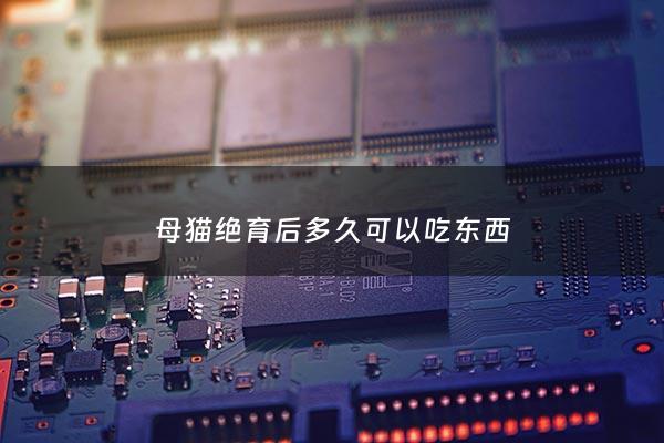 母猫绝育后多久可以吃东西 - 母猫绝育后多久开始吃东西