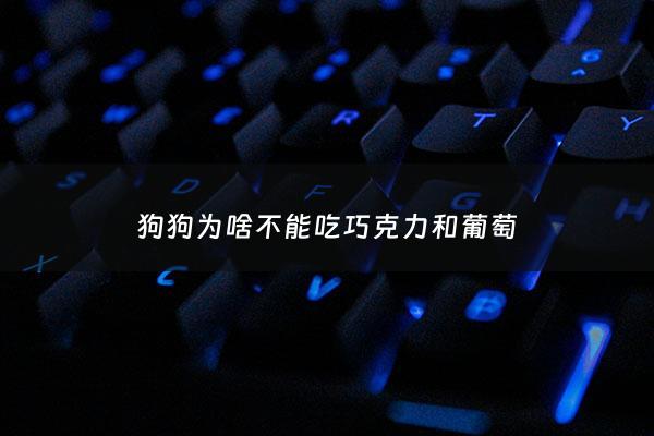 狗狗为啥不能吃巧克力和葡萄 - 狗狗为啥不能吃巧克力和葡萄呢