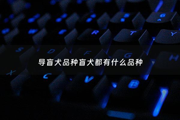 导盲犬品种盲犬都有什么品种 - 导盲犬品种有哪些