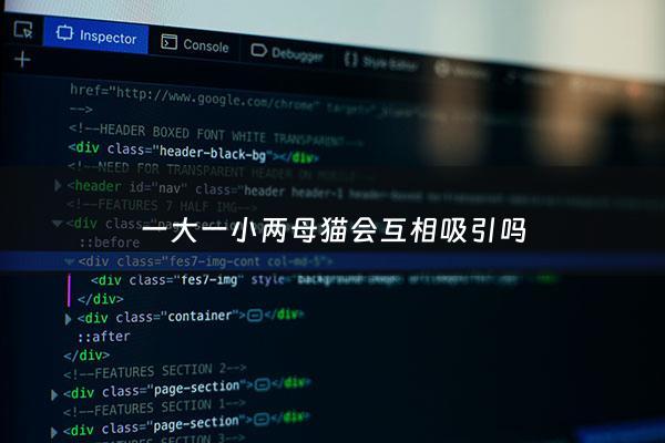 一大一小两母猫会互相吸引吗 - 一大一小两只猫会打架吗