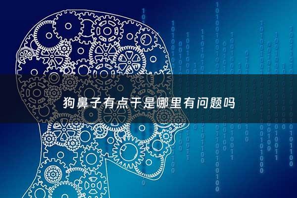 狗鼻子有点干是哪里有问题吗 - 狗鼻子有点干是哪里有问题吗怎么治疗