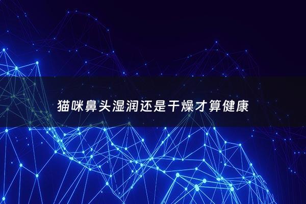 猫咪鼻头湿润还是干燥才算健康 - 猫咪鼻头湿润是好还是不好