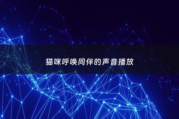 猫咪呼唤同伴的声音播放 - 猫呼引同伴的声音