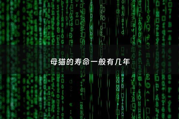 母猫的寿命一般有几年 - 母猫寿命有公猫长吗