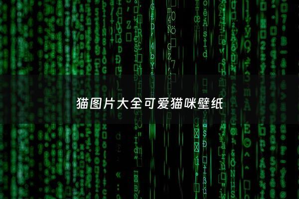 猫图片大全可爱猫咪壁纸 - 猫图片可爱高清