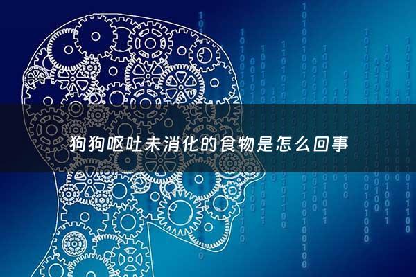 狗狗呕吐未消化的食物是怎么回事 - 狗狗呕吐未消化的食物后食欲不振精神不好