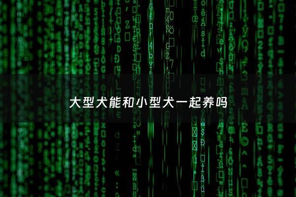 大型犬能和小型犬一起养吗 - 大型犬可以和小型犬一起养吗