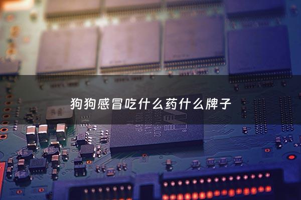 狗狗感冒吃什么药什么牌子 - 狗狗感冒了应该吃什么药