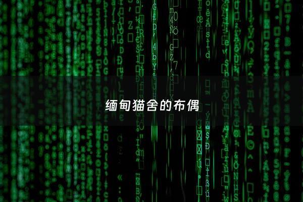 缅甸猫舍的布偶 - 布偶缅因猫价格***一只