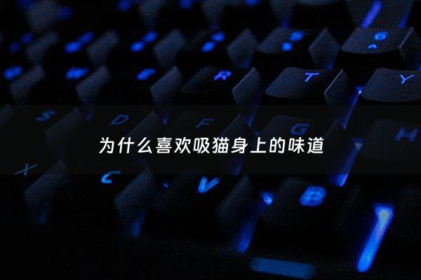 为什么喜欢吸猫身上的味道 - 为什么特别喜欢吸猫