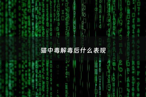 猫中毒解毒后什么表现 - 猫中毒后的反应