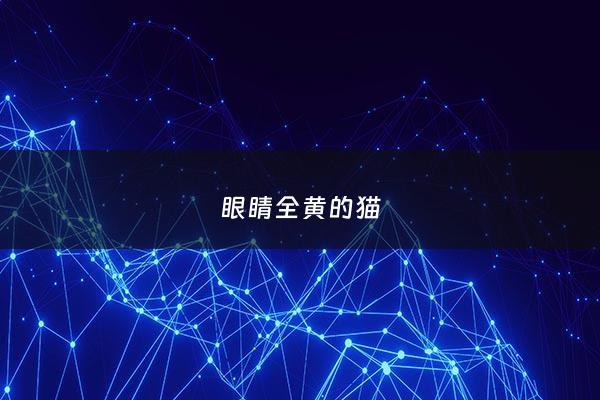 眼睛全黄的猫 - 眼睛全黄的猫图片