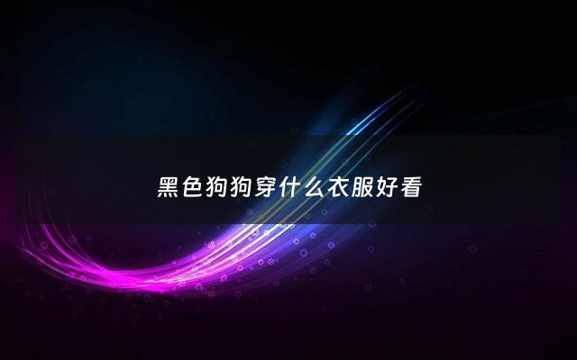 黑色狗狗穿什么衣服好看 - 黑狗狗穿什么颜色的衣服